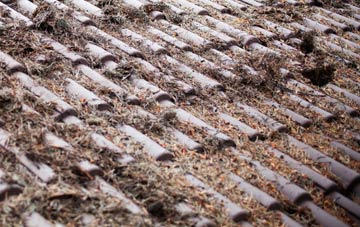 Cheston roof cleaning companies